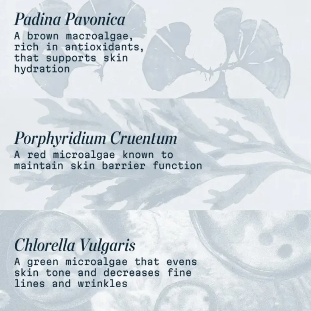 Elemis Pro-Collagen Marine Cream, Anti-wrinkle Hydrating Day Cream, 15ml, New - Picture 8 of 9